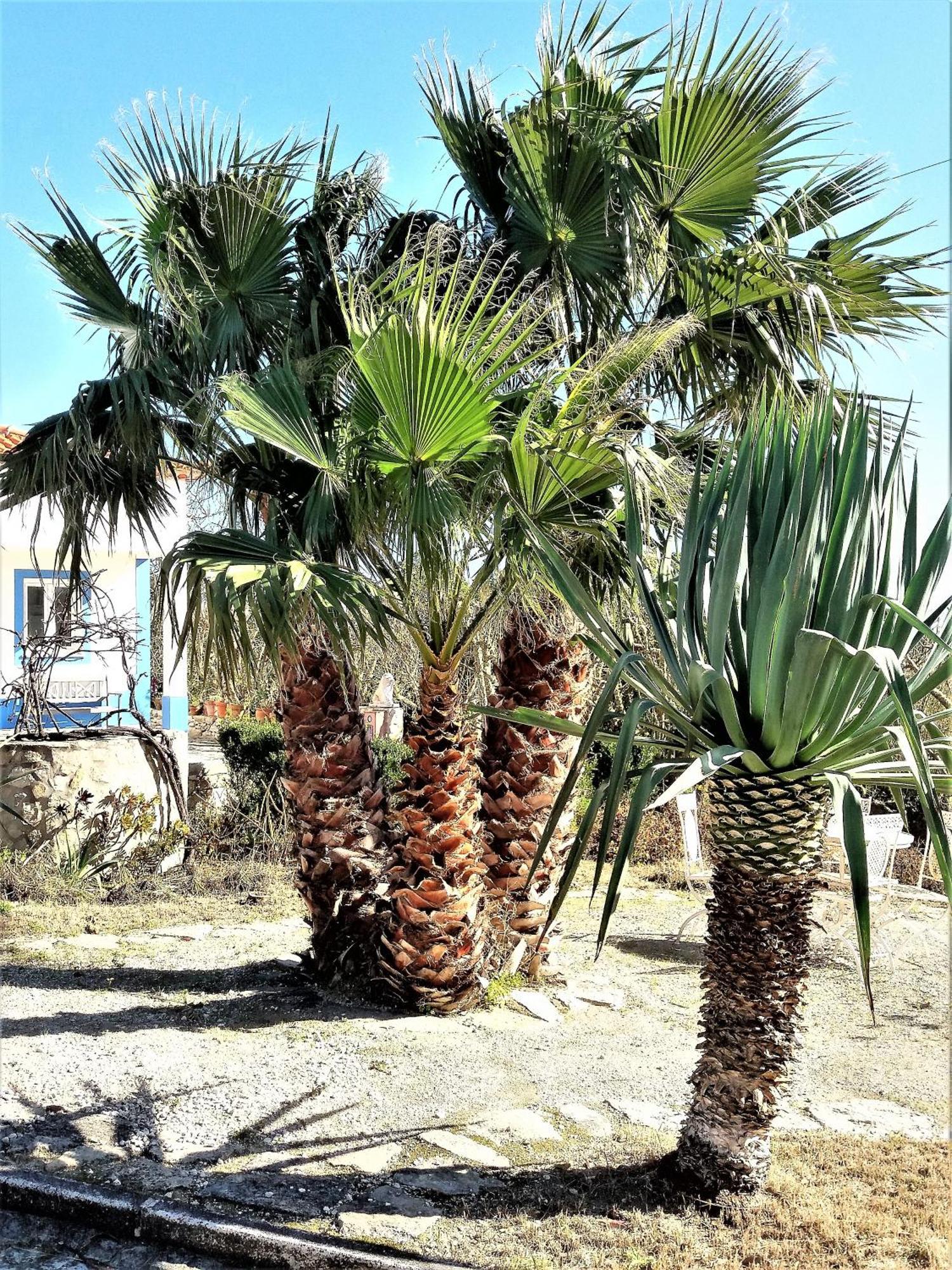 Agua Rocha Villa Serra de Mangues Ruang foto